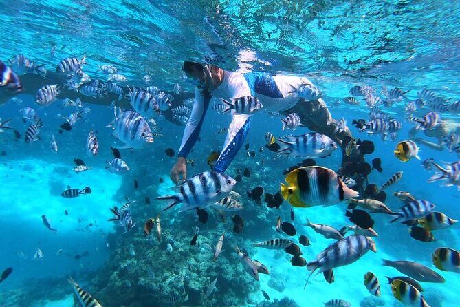 1/2 day Tahaa coral garden - departure Raiatea / ideal for cruise passengers - Why this Tahaa Coral Garden tour fits a cruise stop