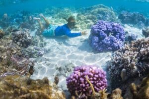 1/2 day Tahaa coral garden - departure Raiatea / ideal for cruise passengers - Tahaa Coral Garden snorkeling: shallow, colorful, and not a fake show