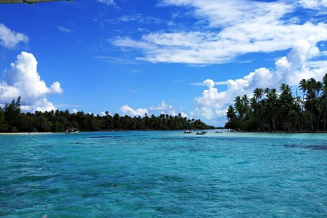 1/2 day Tahaa coral garden - departure Raiatea / ideal for cruise passengers - How the drift float usually feels (and how to make it smooth)