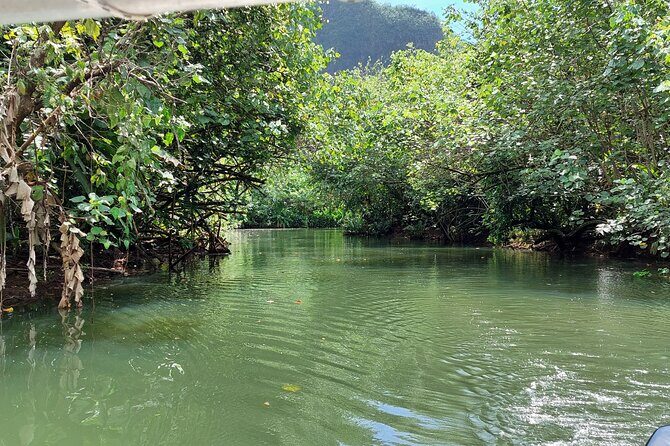 1/2 day "Treasures of Raiatea" by boat - ideal for cruise passengers - Key Highlights That Matter On This Half-Day