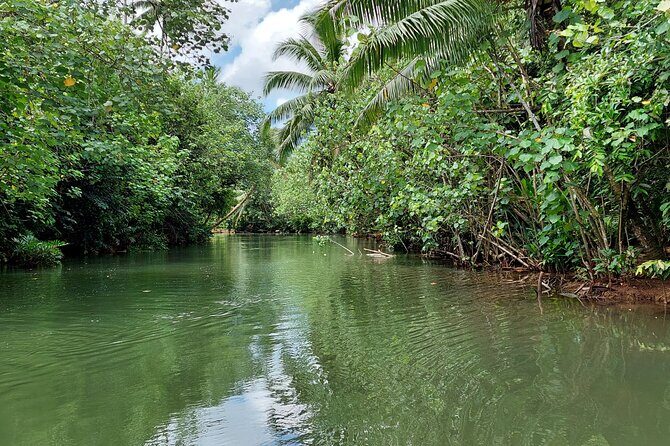 1/2 day "Treasures of Raiatea" by boat - ideal for cruise passengers - The Boat Time Between Stops—Lagoon Views and In-Water “Bonus Moments”
