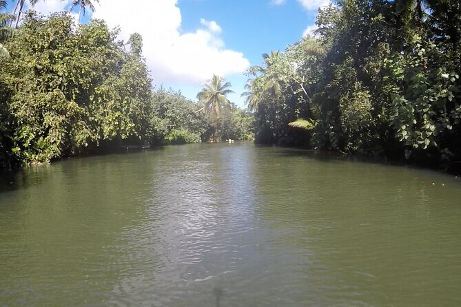 1/2 day "Treasures of Raiatea" by boat - ideal for cruise passengers - Refreshments on Board—Small Details That Make the Half-Day Feel Complete