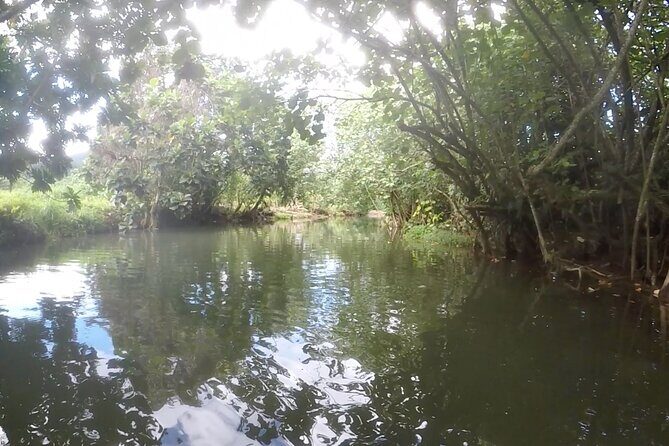 1/2 day "Treasures of Raiatea" by boat - ideal for cruise passengers - Price and Value: Is $144.54 Worth It?