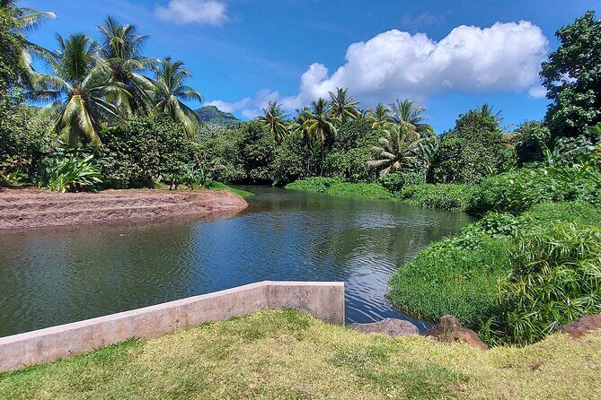 1/2 day "Treasures of Raiatea" by boat - ideal for cruise passengers - Stop 1: Fa’aroa Bay and the Faaroa River—Raiatea’s Only Navigable River