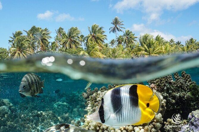 1-hour jet ski excursion in Tahiti - Who This Tour Fits (and Who Might Want Something Else)