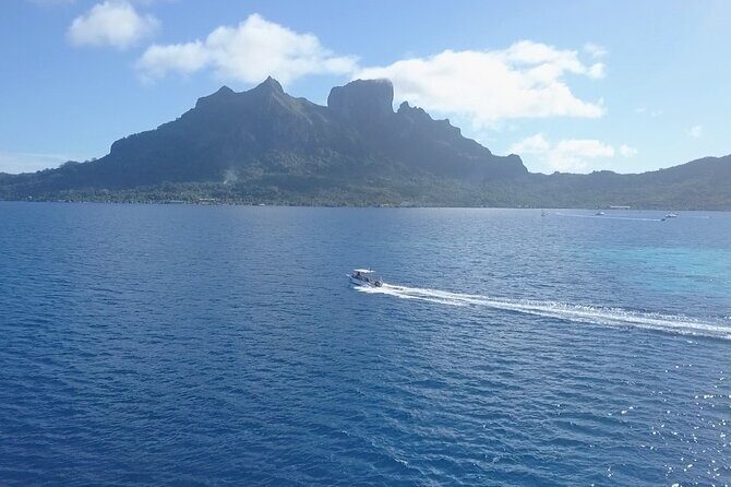 2 Dives in the morning for certified divers in Bora Bora - What you can realistically expect to see: mantas, sharks, and reef life