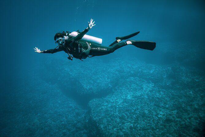 2 Dives in the morning for certified divers in Bora Bora - Gear, equipment, and the Nitrox perk