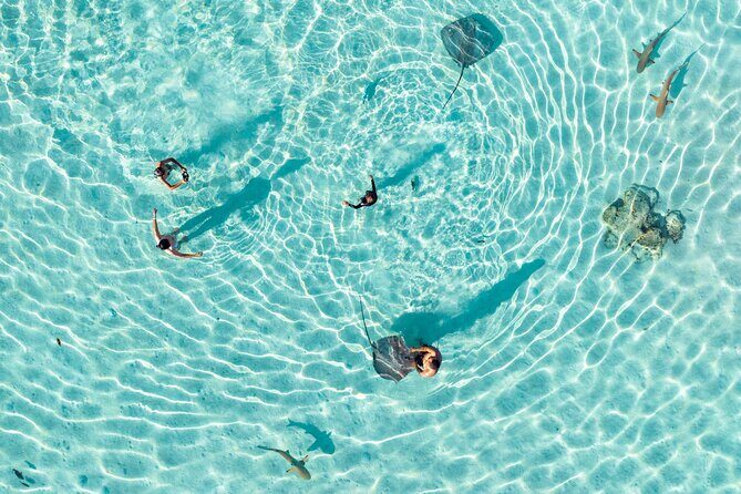 3-Hour Snorkeling Tour - Key things I’d highlight before you book