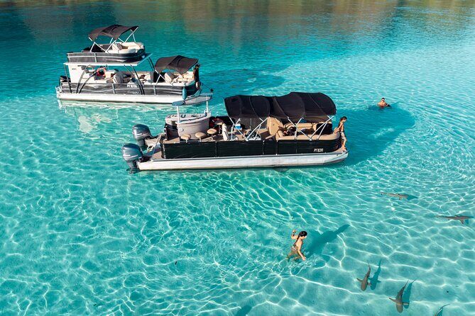 3-Hour Snorkeling Tour - Onboard comforts: fresh fruit, drinks, and the little touches that stick