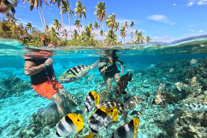 3H Adventure in JET SKI Snorkeling and Tahaa Lagoon - Key Things You’ll Remember Most