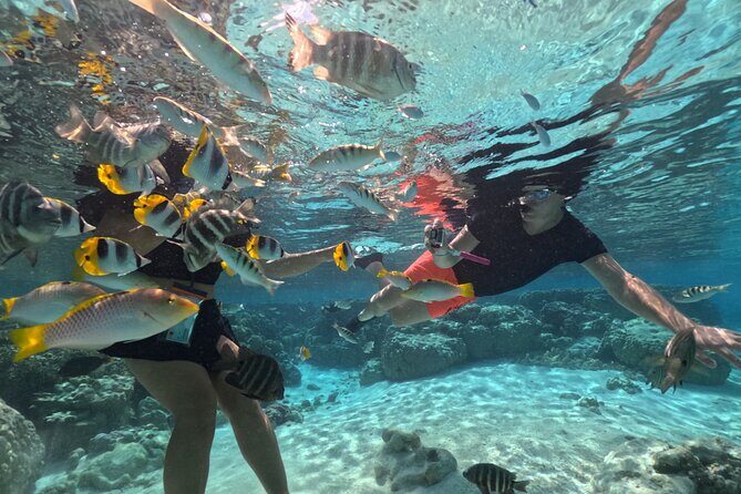 3H Adventure in JET SKI Snorkeling and Tahaa Lagoon - Jet Skiing Through Tahaa Lagoon: fast views, quick safety, real water time