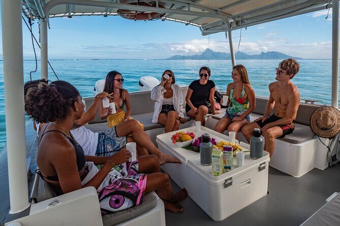4 Hours of Humpback Whale Watching in Tahiti - Snorkeling Option: What to Know Before You Say Yes