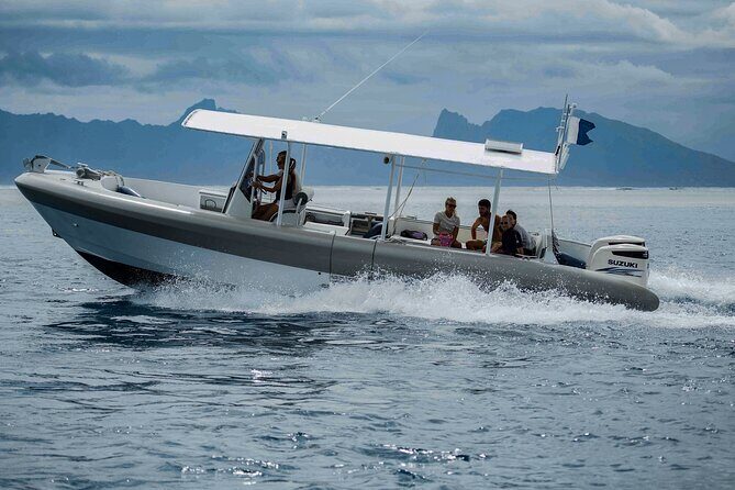 4 Hours of Humpback Whale Watching in Tahiti - Price and Value: Is $127.54 Worth It?