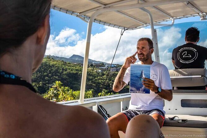 4 Hours of Humpback Whale Watching in Tahiti - Timing, Weather, and Why Your Day Needs Flex