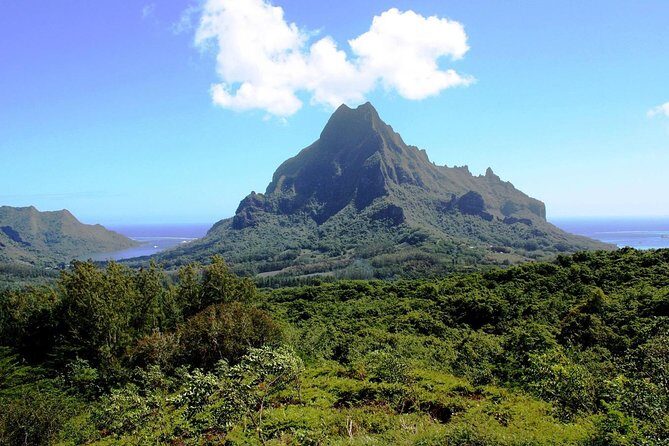4x4 Moorea Safari Tours : With Hotel transfers - Price and Value: Why $57.09 Can Make Sense
