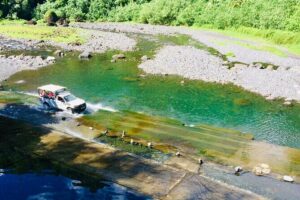 4x4 Safari HEREAKIMANU Tour in the Heart of Tahiti - Stop-by-stop: black-sand coast, Fare Hape village, and the Vaihiria tunnel view