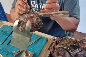 4x4 Tour – Culture, Crafts and Agritourism in Raiatea - Stop 2: Marae de Taputapuatea—UNESCO meaning, not just a photo stop