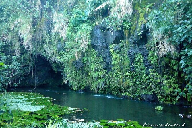 5 Hours Tahiti Island Tour - West and East Coast - Price and Value: What $79 Buys You in Practical Terms