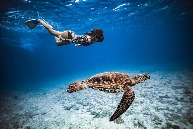 6 Hour Private Boat Activity with Snorkeling & Lunch - Cruising the Cook and Opunohu Bays (Yes, There’s a Reason)