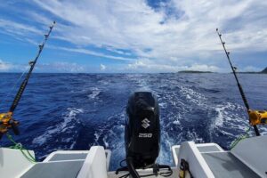 A Day of Big Game Fishing in a small group - Out to sea: why the route matters more than you think