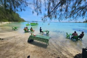 Activity/Excursion Lagoon Tour to Moorea by Canoe 6 hours - Cook Bay and Opunohu: the view stops that set the tone