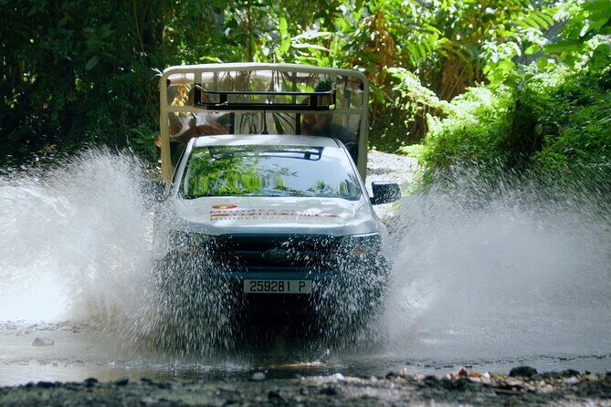 ALBERT TOURS: Excursion 4x4 safari with private SWING view point - Key Highlights You’ll Actually Care About
