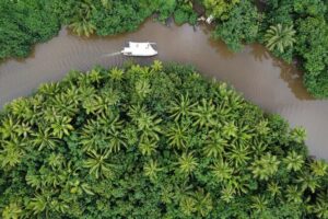 Apetahi day trip around Raiatea on a modern outrigger canoe - The Blue Lagoon canoe: comfort and practical onboard design