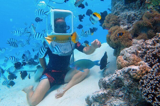 Aqua Safari Introductory Helmet Dive (Underwater Walk) - Key takeaways before you book