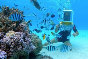 Aqua Safari Introductory Helmet Dive (Underwater Walk) - Walking the coral garden: fish, reef, and those stingrays