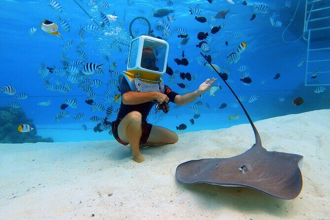 Aqua Safari Introductory Helmet Dive (Underwater Walk) - How long it takes and how the day flows