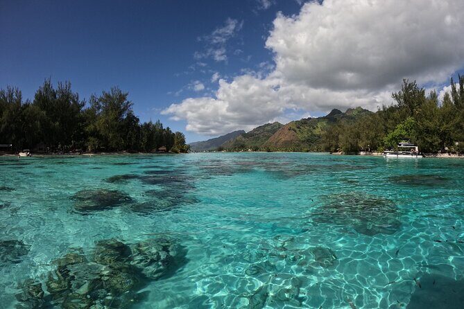 Aquablue Moorea - Who This Tour Fits Best (And Who Might Reconsider)