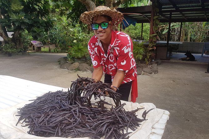 Authentic Polynesian Experience - Who This Tour Fits Best (and Who Might Want a Different Option)