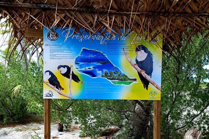 BLUE LAGOON | Eco-tour | Snorkeling Avatoru | Secret Green Lagoon - Cultural workshop and traditional music on the motu
