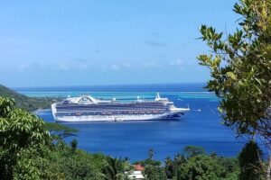 Blue Pearl Private Tour - Getting to Moorea from Papeete with pickup that actually helps