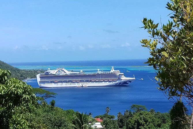 Blue Pearl Private Tour - Getting to Moorea from Papeete with pickup that actually helps