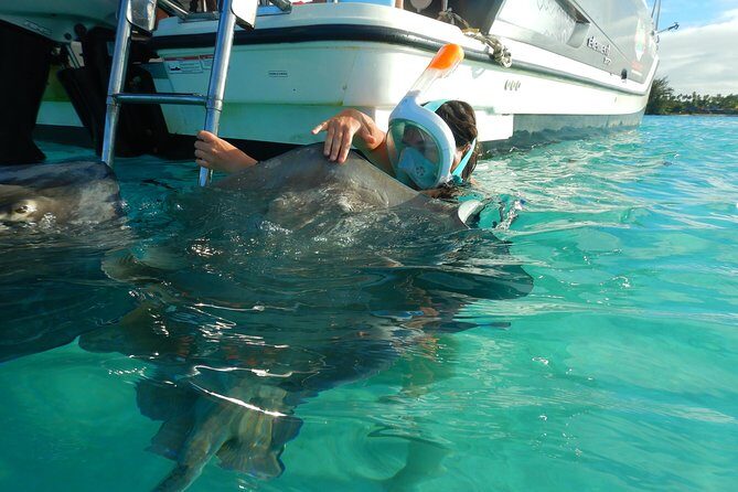 Boat tour 1/2 day Excursion in the lagoon of Moorea - Key Highlights You’ll Care About