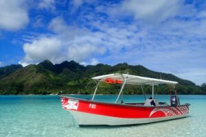 Boat tour 1/2 day Excursion in the lagoon of Moorea - North Coast Cruising: Cook’s Bay and Opunohu Bay Views