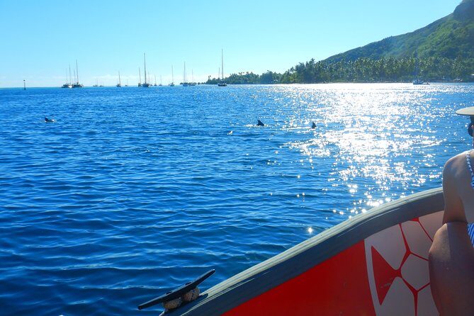 Boat tour 1/2 day Excursion in the lagoon of Moorea - Motu Tiahura and the Coral Garden Snorkel Stop