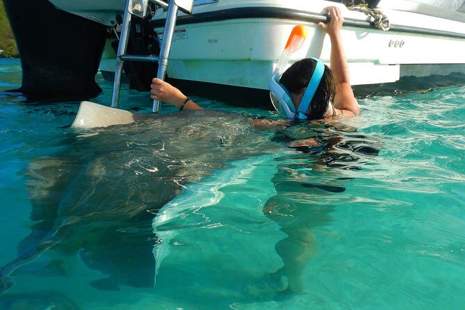 Boat tour 1/2 day Excursion in the lagoon of Moorea - Stingrays and Black Tip Sharks: What This Stop Feels Like