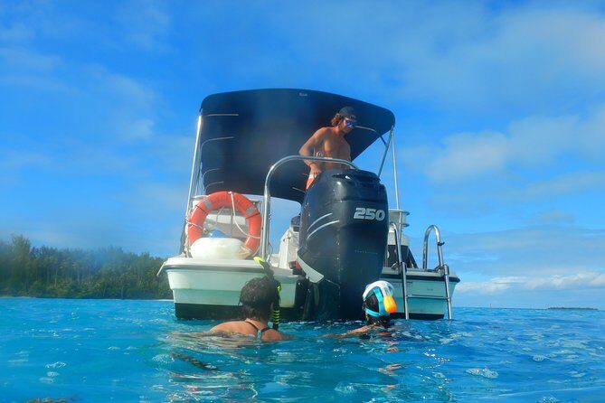 Boat tour 1/2 day Excursion in the lagoon of Moorea - Green Turtles and How the Route Keeps It Interesting