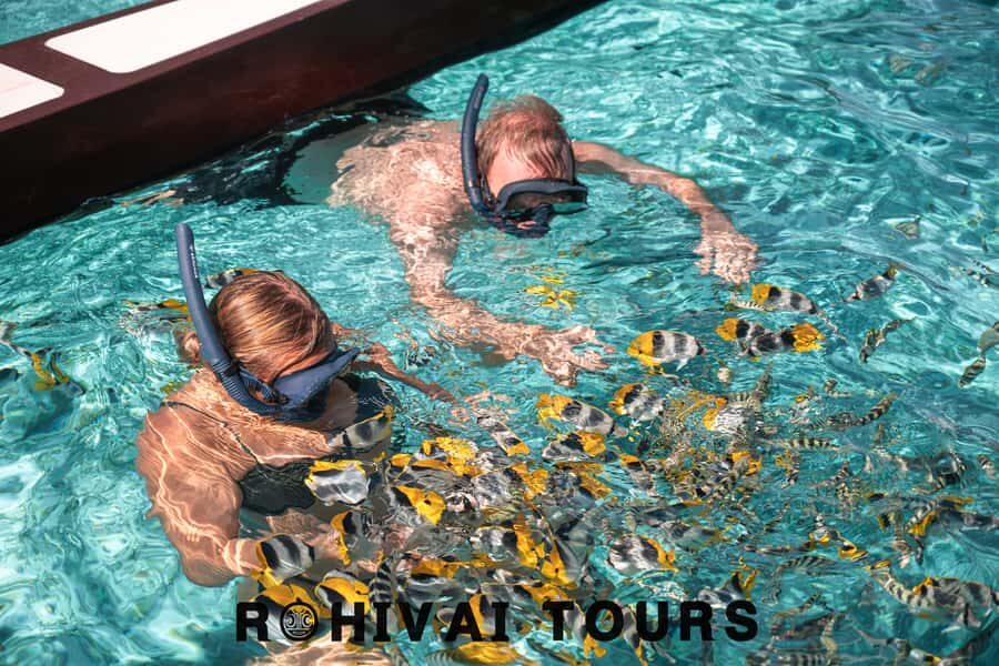 Bora Bora: 1/2 day lagoon safari - Shared tour - Key highlights you’ll actually feel on the water