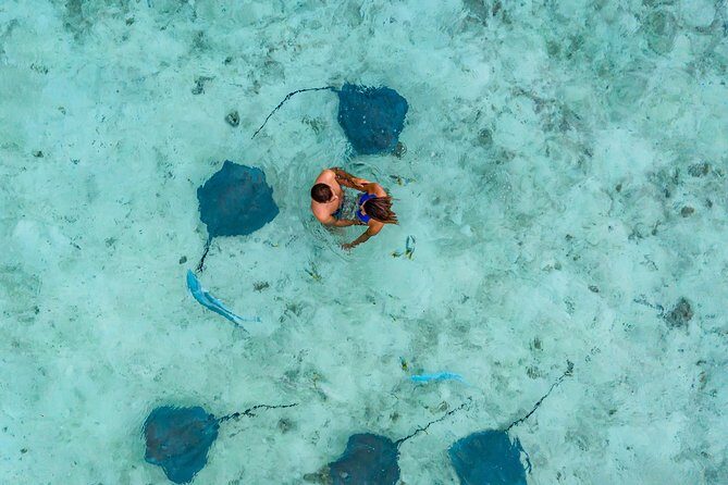 Bora Bora 4WD Tour & Eco Shark & Ray Snorkel Cruise - How the day flows (and why it can feel long)