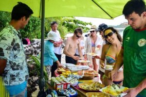 Bora Bora Combo Tour: Lagoon Cruise and 4WD Tour Including Snorkeling - 4WD safari viewpoints: East Matira, Faanui Canon, and off-road roads