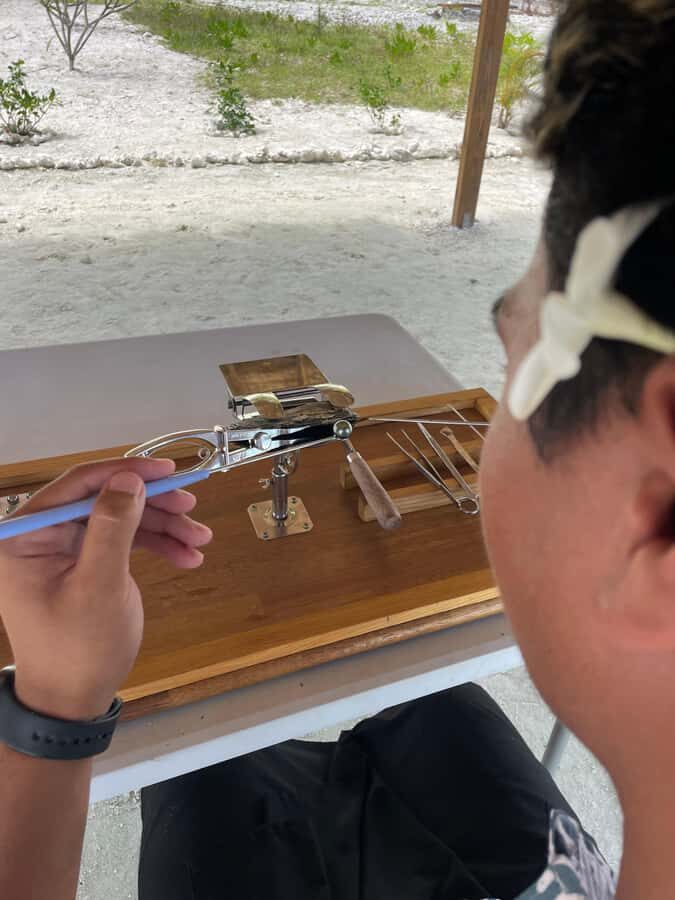 Bora Bora: Discovering the Tahitian black pearl ! - Coral garden + oyster baskets: your time in the water and your role in the selection