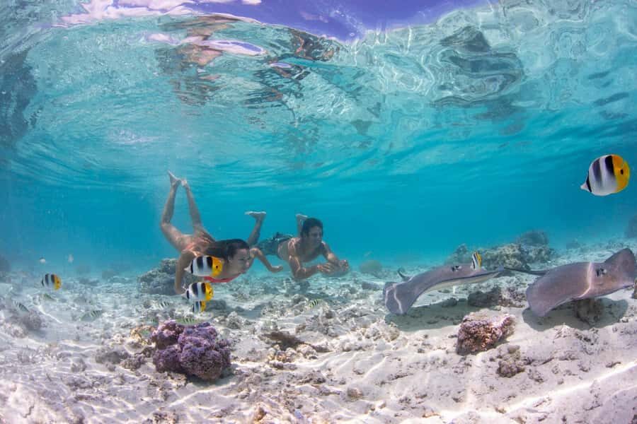 Bora Bora: Eco Shark and Snorkeling Safari - Afternoon timing: why this tour feels right in Bora Bora