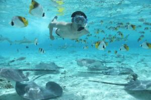 Bora Bora: Eco Shark and Snorkeling Safari - From hotel pickup to safety briefing: how the 150 minutes runs