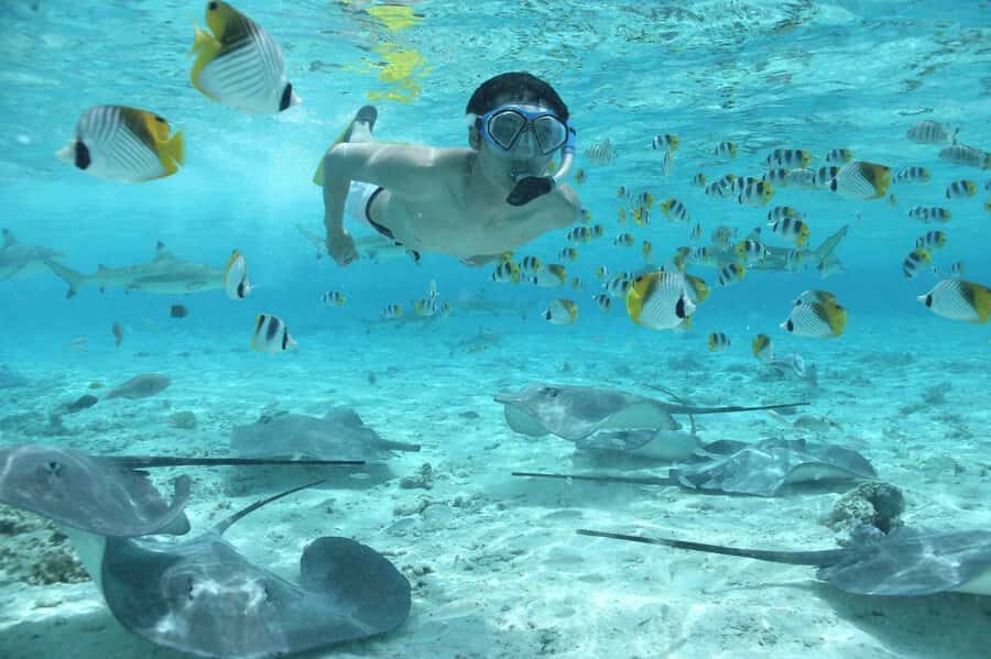 Bora Bora: Eco Shark and Snorkeling Safari - From hotel pickup to safety briefing: how the 150 minutes runs