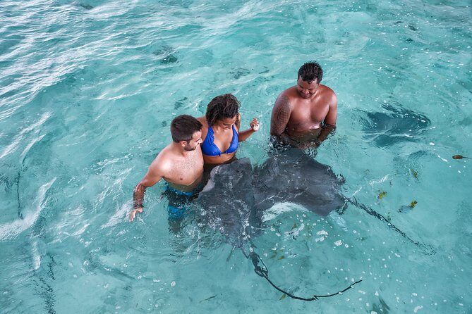 Bora Bora Eco Snorkel Cruise Including Snorkeling with Sharks and Stingrays - Quick Key Points Before You Go