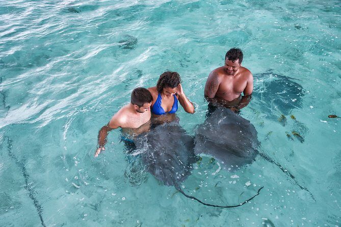 Bora Bora Eco Snorkel Cruise Including Snorkeling with Sharks and Stingrays - Timing: Two Main Stops, With Extra Chances When Conditions Cooperate