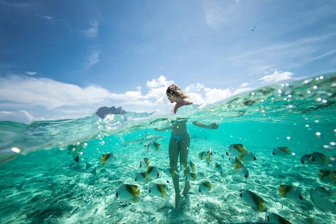 Bora Bora Eco Snorkel Cruise Including Snorkeling with Sharks and Stingrays - Gear, Comfort, and the Boat Ladder Reality Check
